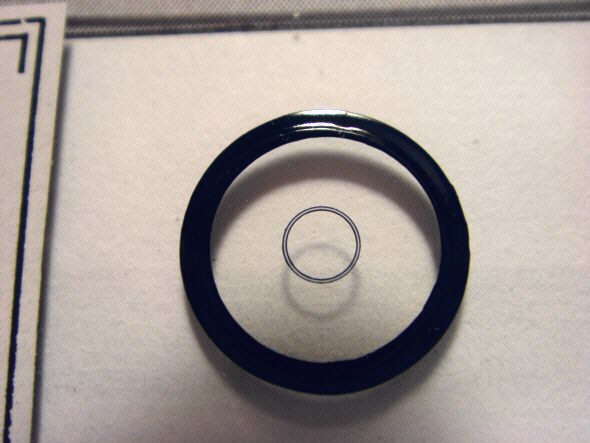 [ Diatomeentestpräparat ]